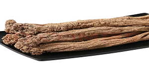 codonopsis and astragalus benefits - CGhealthfood.png